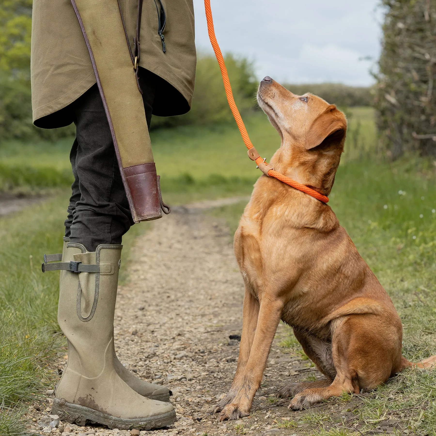 Dog Leads - Tangerine