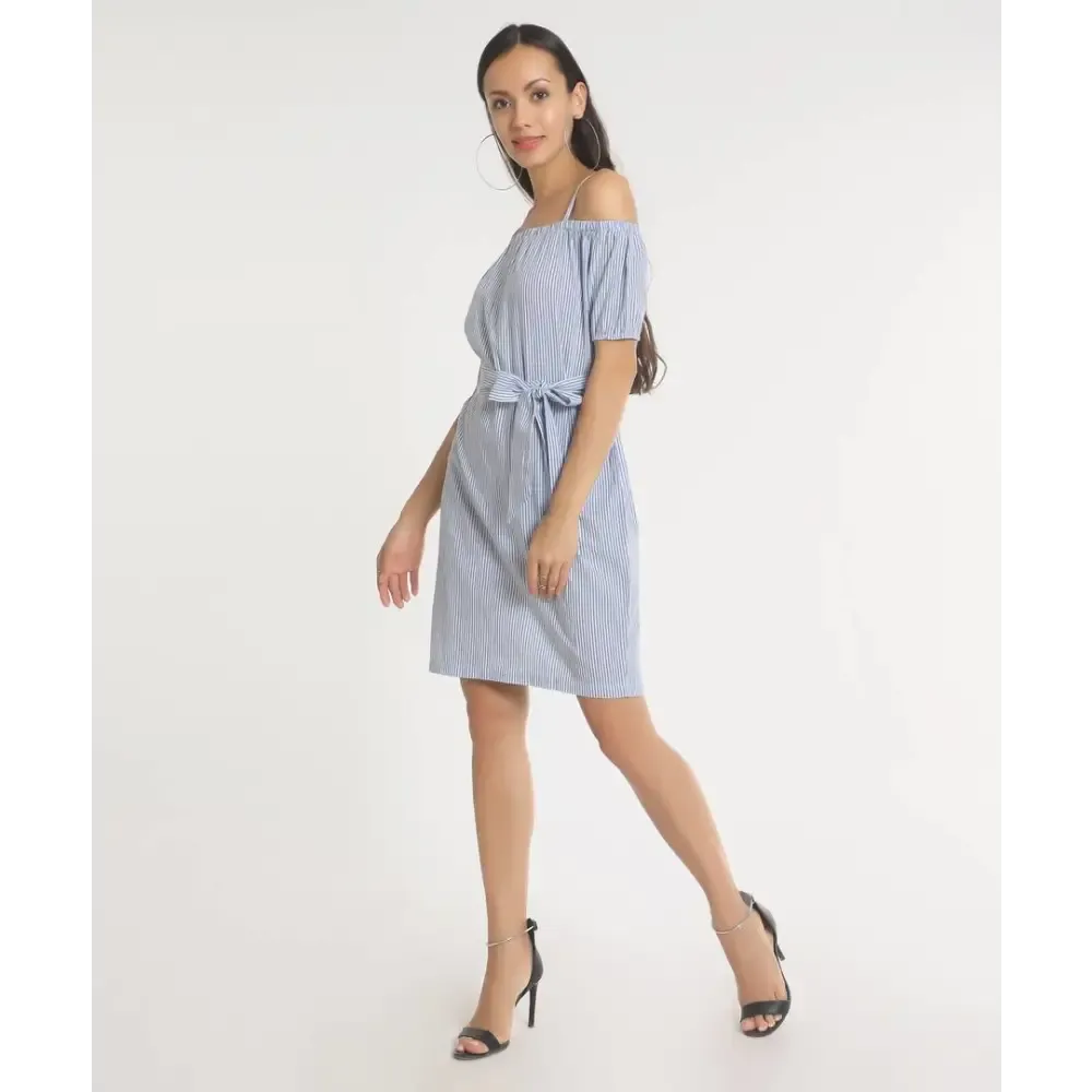 Stylish Cotton Light Blue Solid Stripe Dress For Women